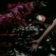 A victim’s arm in “Knife In The Darkness”